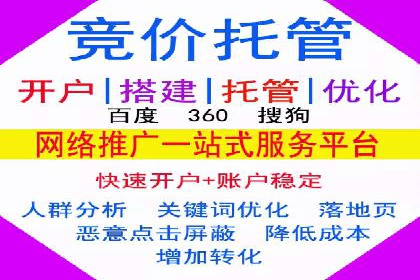 行业标杆的SEM竞价营销案例研究